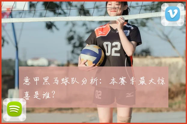 意甲黑马球队分析：本赛季最大惊喜是谁？