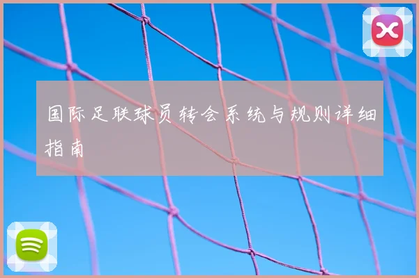 国际足联球员转会系统与规则详细指南